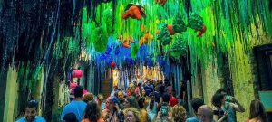 38662354 1639668839488433 7943288095485460480 n opt