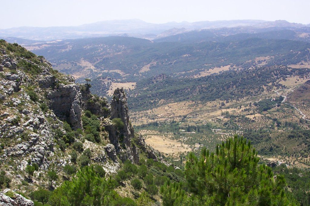 la sierra de grazalema