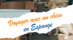 Voyager en Espagne avec un chien