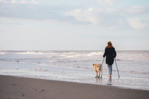 Plage en Espagne avec un chien