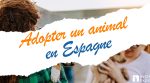 Adopter un animal en espagne